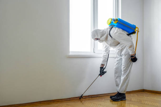 Best Pest Exclusion Services  in Stevensville, MI